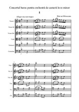 Concertul baroc pentru orchestra de camera in re minor - I. Allegro ma non troppo